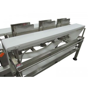 4-Sort Dual Lane Sorting Conveyor